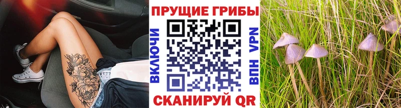 Галлюциногенные грибы Psilocybine cubensis  Купить где  Муравленко 